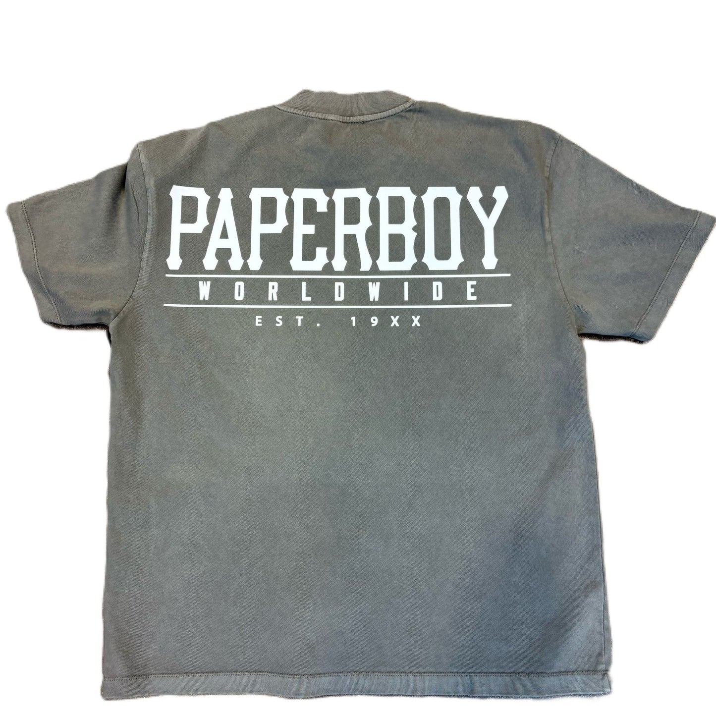 Paperboy Evil Bugz Tee Gray