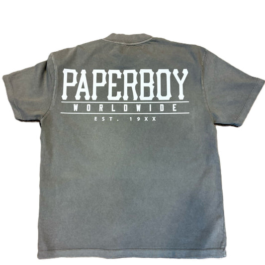 Paperboy Evil Bugz Tee Gray