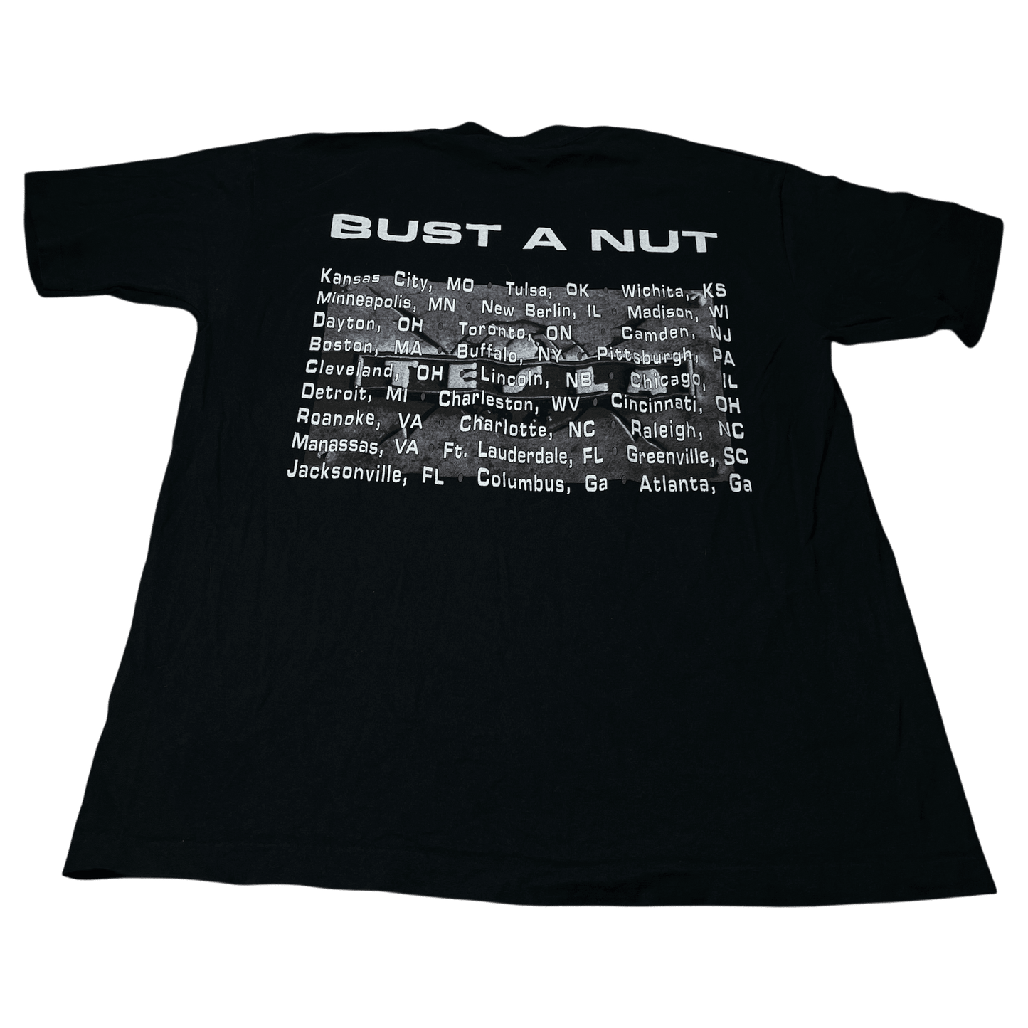 Vintage 1995 Tesla "Bust A Nut" Band T-Shirt - Used/Worn