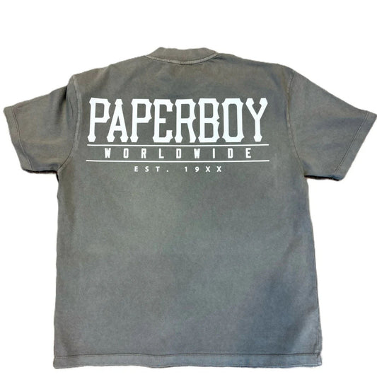 Paperboy Evil Bugz Worldwide Tee Gray