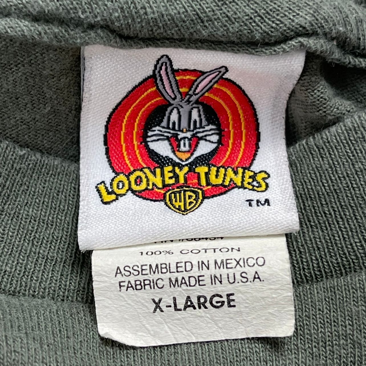 Vintage Taz Snowboarding Looney Tunes Long-Sleeve T-Shirt - Used/Worn