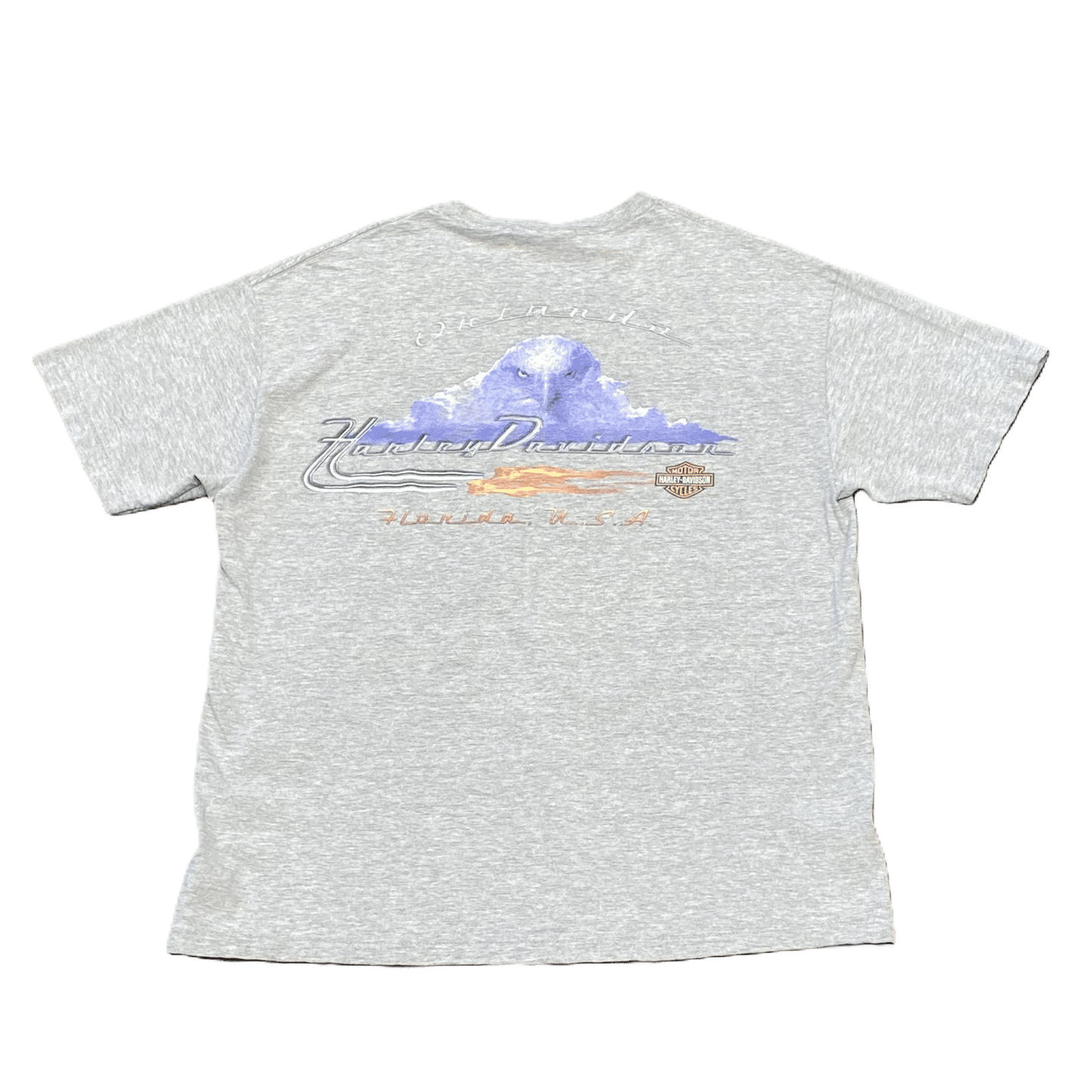 Vintage Harley-Davidson Florida T-Shirt - Used/Worn