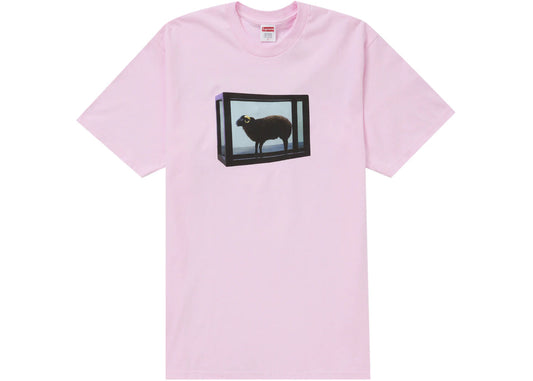 Supreme Damien Hirst Tee Light Pink