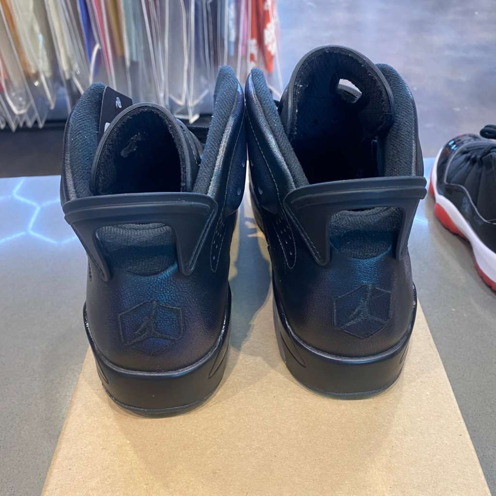 Jordan 6 Retro All-Star Chameleon (2017) - Pre-Owned (Replacement Box)