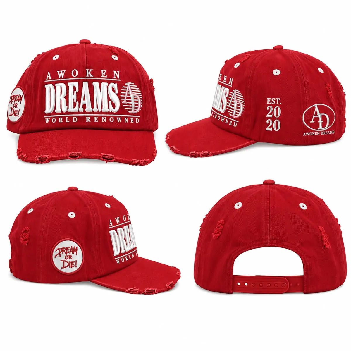Awoken Dreams Dream or Die! Trucker Hat Red
