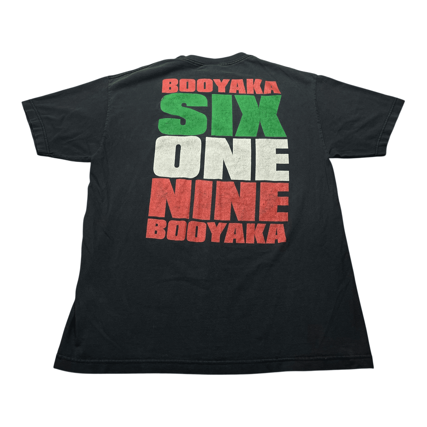 Vintage WWE Rey Mysterio 619 T-Shirt - Used/Worn