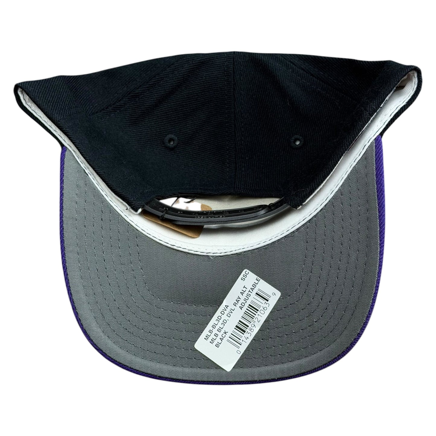 NWT Vintage MLB Tampa Bay Devil Rays Sports Specialties Snapback Hat