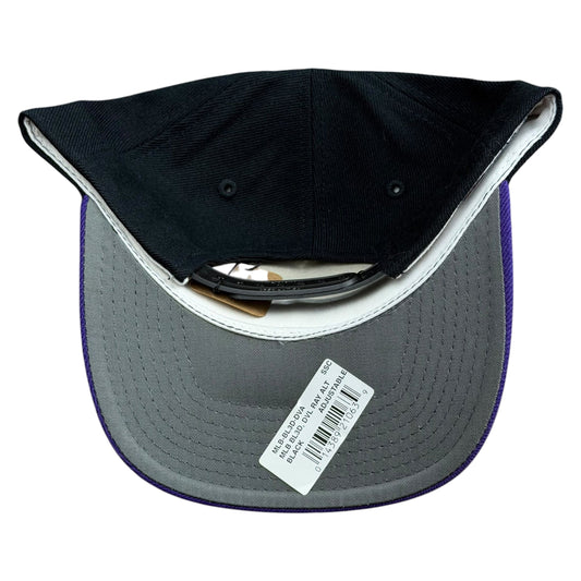 NWT Vintage MLB Tampa Bay Devil Rays Sports Specialties Snapback Hat