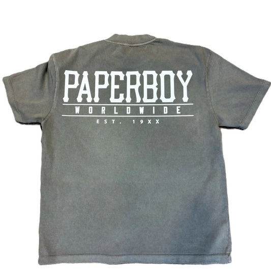 Paperboy Evil Bugz Worldwide Tee Gray