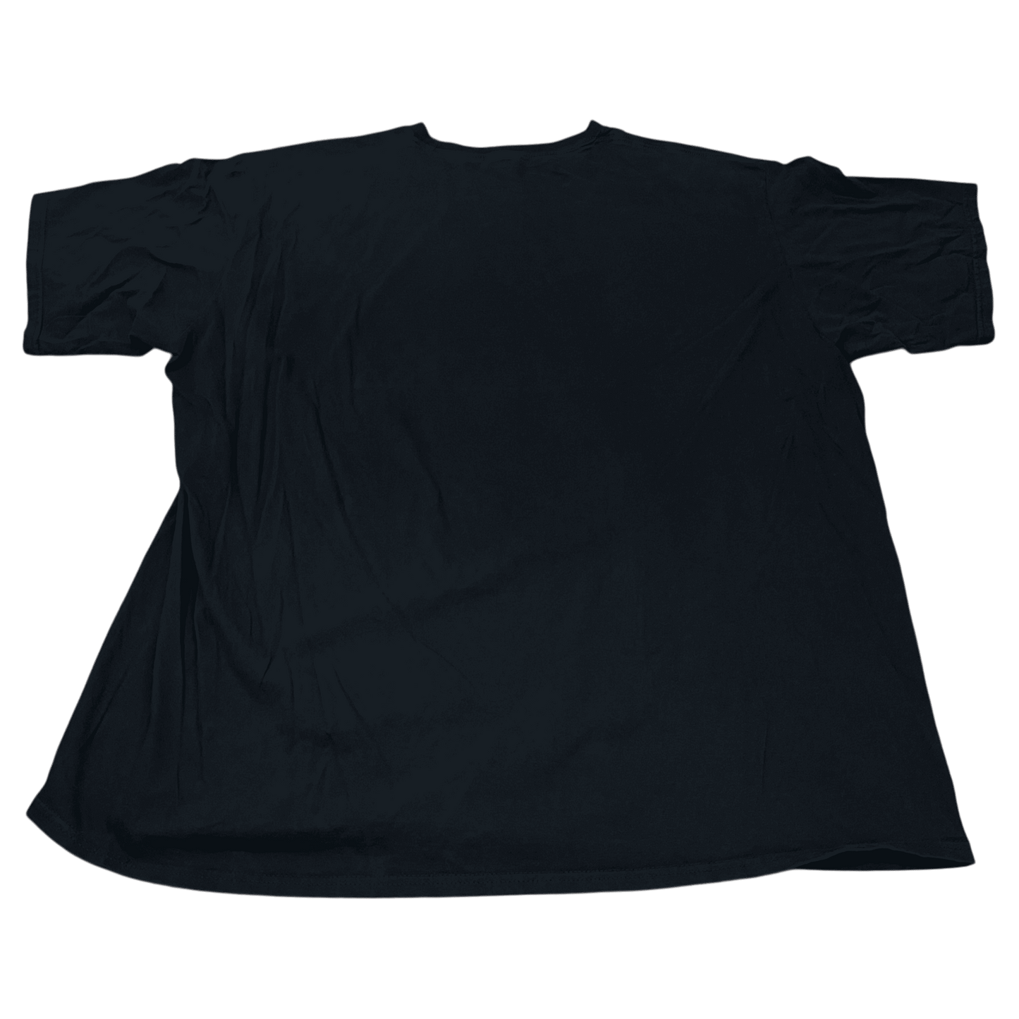 Y2K Pantera Far Beyond Driven Band T-Shirt - Used