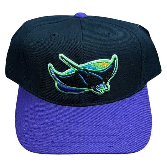 NWT Vintage MLB Tampa Bay Devil Rays Sports Specialties Snapback Hat