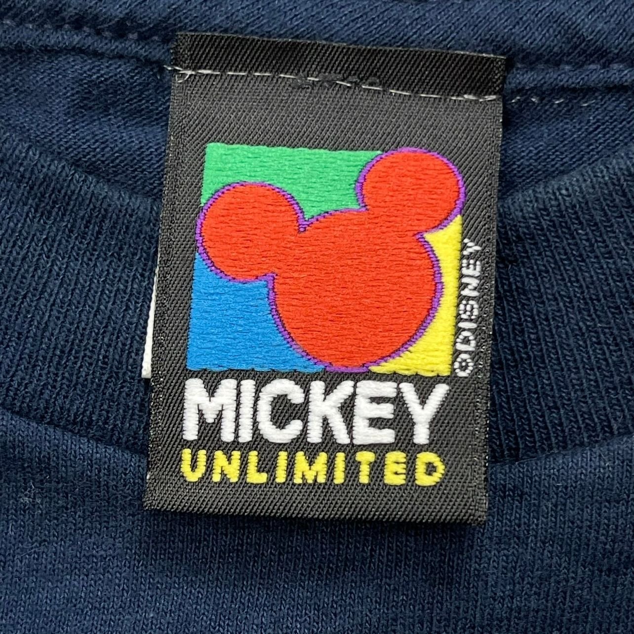 Vintage 2000 Disney Cast Florida T-Shirt - Used