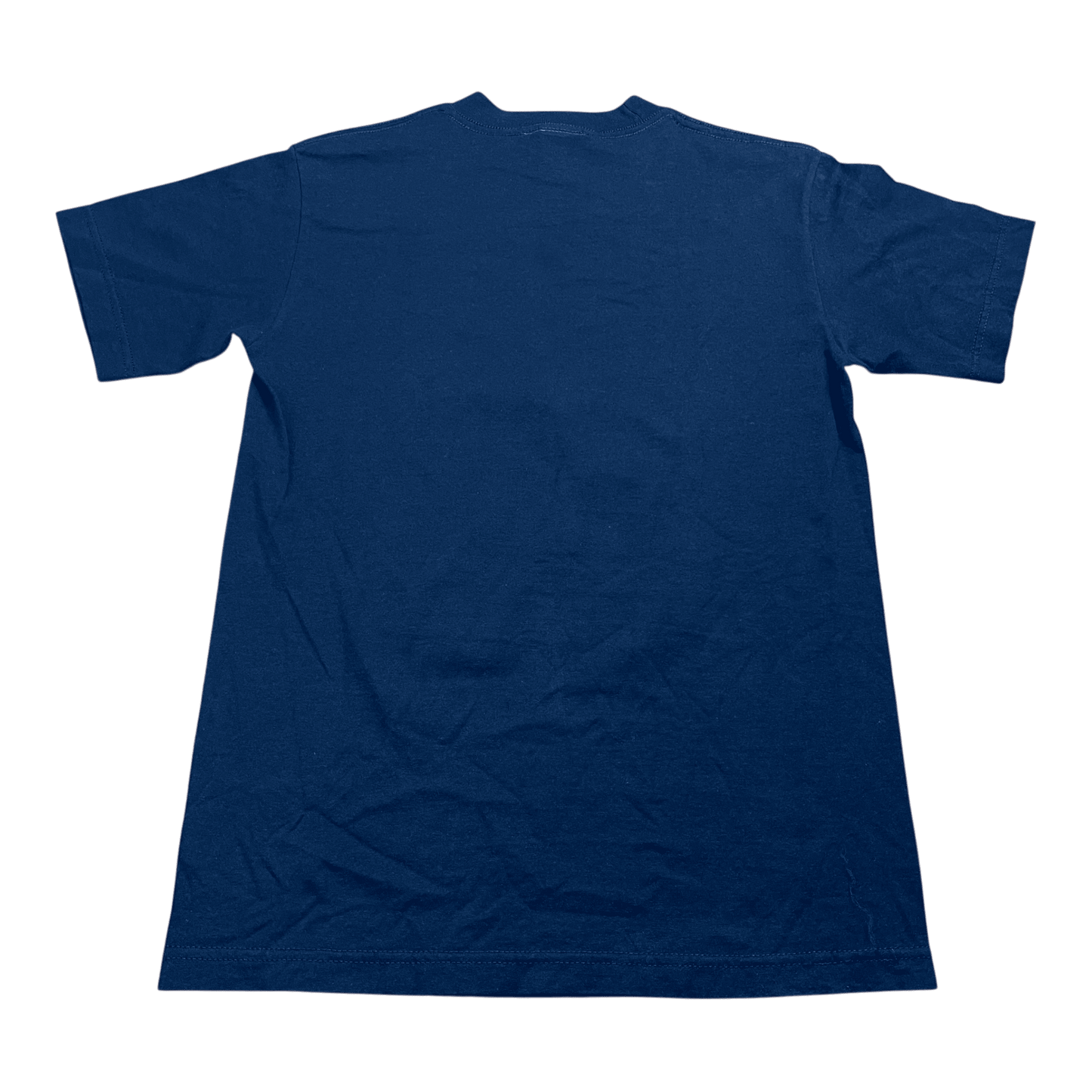 Vintage 2000 Disney Cast Florida T-Shirt - Used