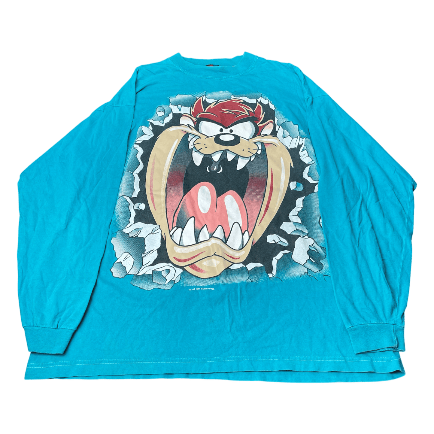 Vintage 1993 Taz Break Through Long-Sleeve T-Shirt - Used/Worn